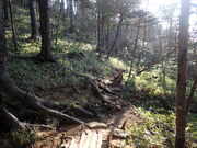 マイBOOさんのアポイ岳の投稿写真1