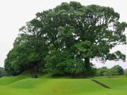 まりもさんの江田船山古墳の投稿写真1
