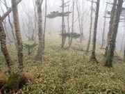 マイBOOさんのピンネシリ岳の投稿写真1