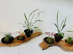 和ごころまなび華教室の写真1