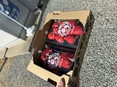 そらさんのゆいまーるFARMへの投稿写真1