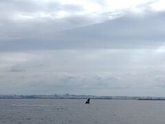 mさんの沖縄アクアマリンへの投稿写真1