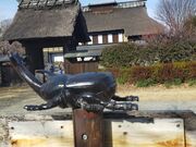 あきぼうさんの群馬県立ぐんま昆虫の森の投稿写真4