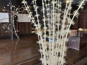 あきぼうさんの群馬県立ぐんま昆虫の森の投稿写真5