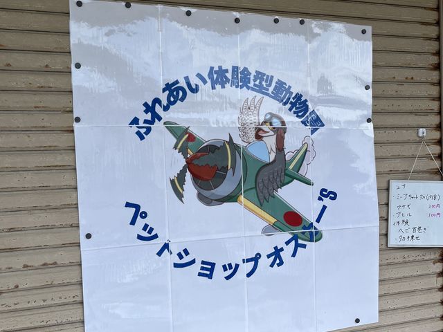 ふれあい体験型動物園_ふれあい体験型動物園・ペットショップ オスカー's