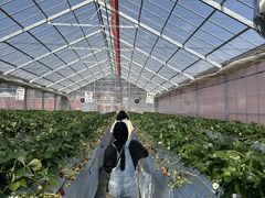 Aikawa Strawberry Houseの写真1