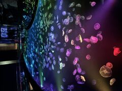 やまちゃんさんのすみだ水族館への投稿写真1