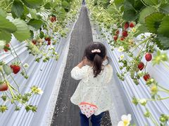 SMILE-LABO HIROSHIMA(旧:果実の森公園)の写真1
