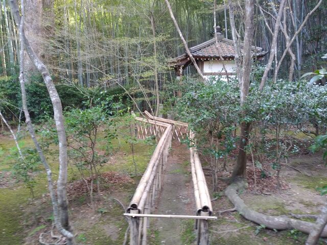 閑静な境内。_滝口寺