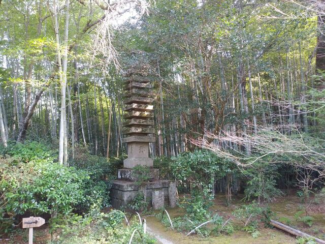 周囲は竹林。_滝口寺
