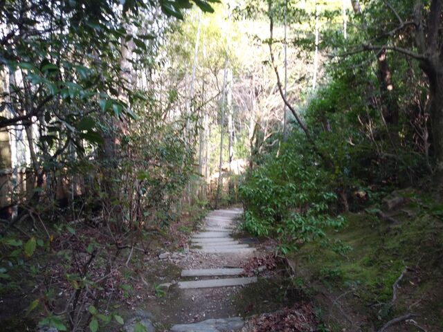 細い石段。_滝口寺