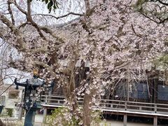 人力車えびす屋鎌倉の写真1