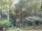 サクラサクさんの滝口寺の投稿写真4