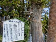 ああああさんの相馬太田神社の投稿写真1