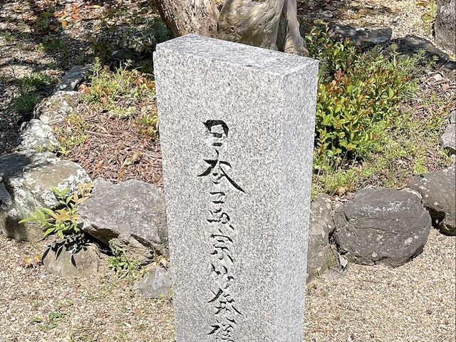 miさんの走田9号墳の投稿写真5