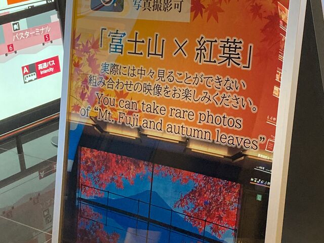 ヴィラフォンテーヌグランド羽田空港_ヴィラフォンテーヌグランド羽田空港