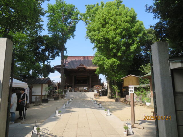 戸越八幡神社_戸越八幡神社