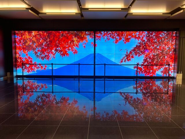 ヴィラフォンテーヌグランド羽田空港_ヴィラフォンテーヌグランド羽田空港