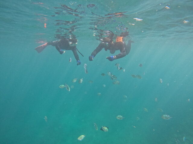 魚に餌付け_DIVE IN CHATAN
