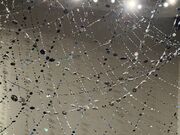 berryさんの朝日町立ふるさと美術館の投稿写真3