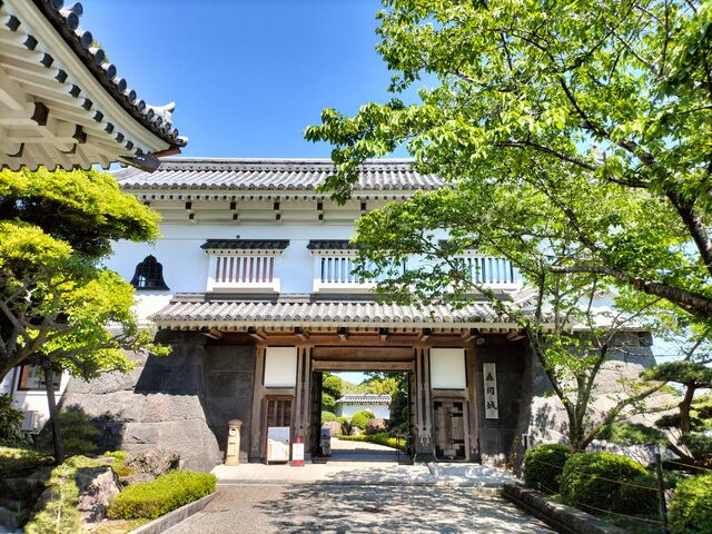 にんにんさんの森岡城の投稿写真1