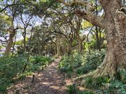 いざのりさんの雄島自然研究路の投稿写真1