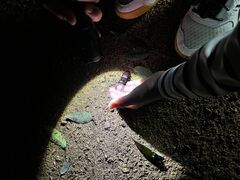 さとほりさんのネイチャーキッズ森の家への投稿写真1