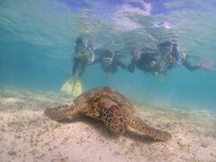 はーちゃんさんのOkinawa tripsへの投稿写真1