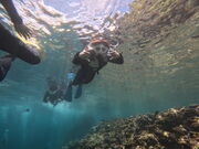 てっちゃんさんの沖縄マリンサービス碧の投稿写真1