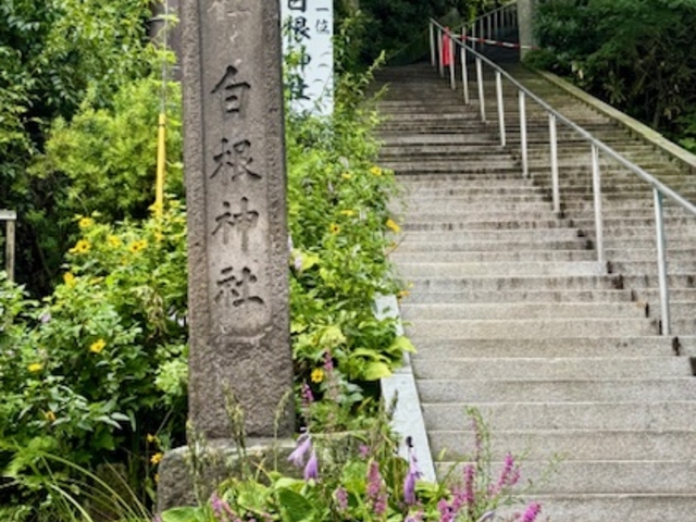 白根神社階段_草津ゆけむりガイド