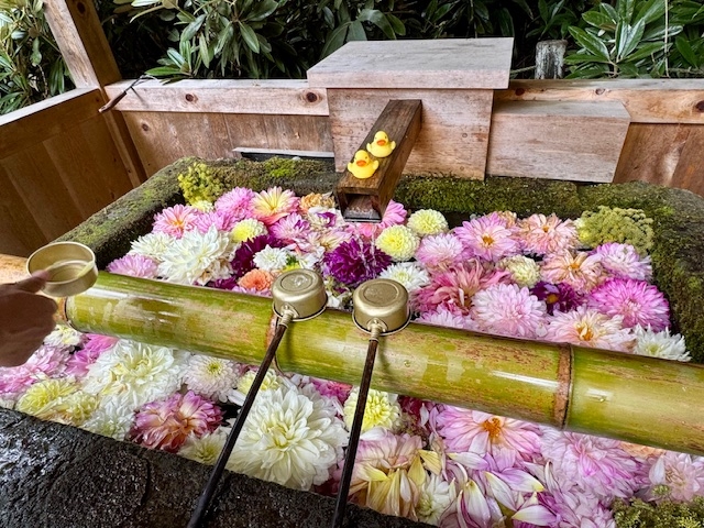 白根神社の花手水_草津ゆけむりガイド