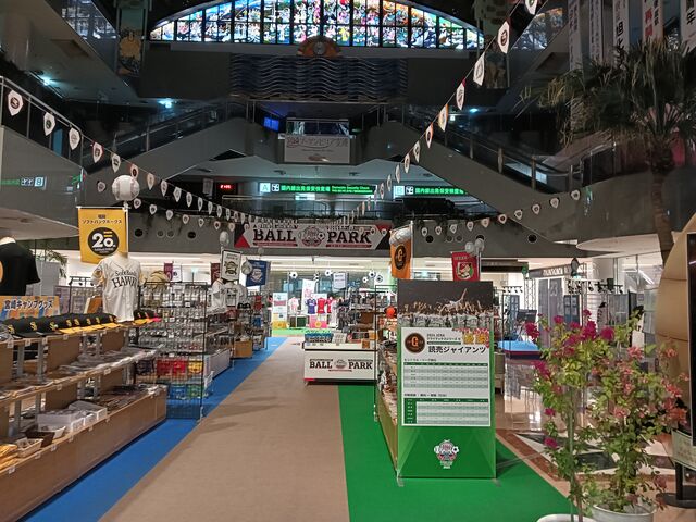 空港_宮崎ブーゲンビリア空港