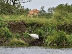 カヌーショップヒライワの写真3
