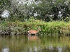 カヌーショップヒライワの写真5