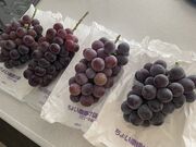 りんさんの森岡農園の投稿写真1