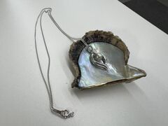 三重県真珠の写真1