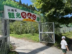 川崎町観光リンゴ園の写真1