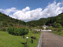 東沢バラ公園 バラまつりの写真1