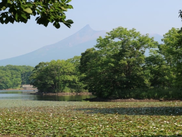 小沼湖