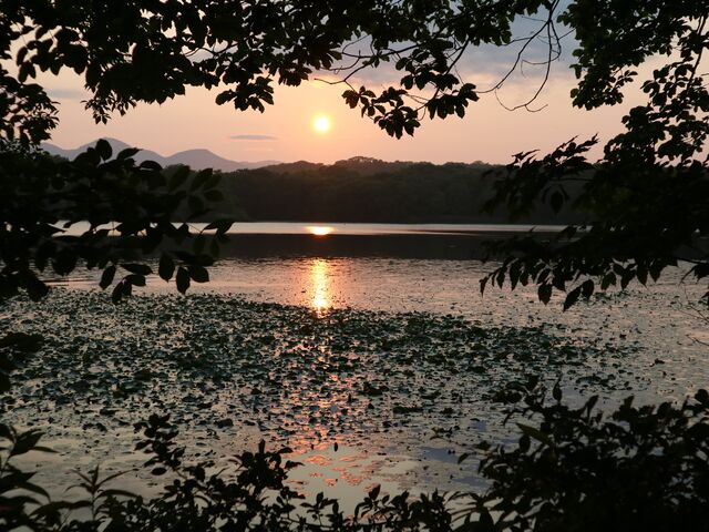 小沼湖