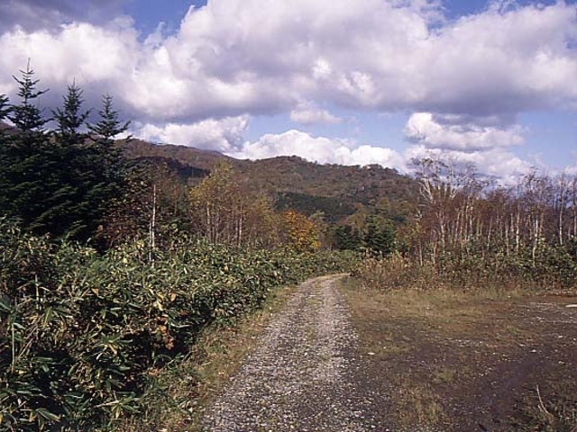 小川高原の写真1