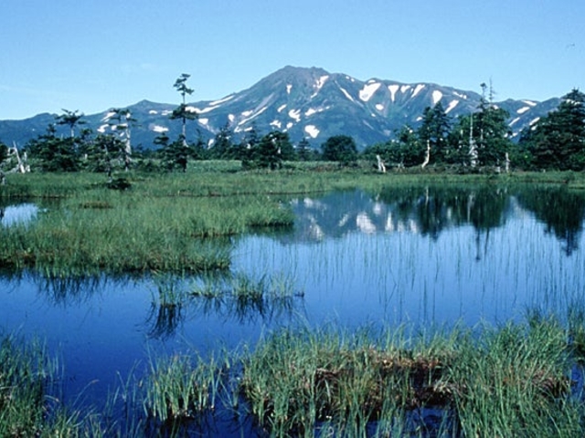 沼の原の写真1