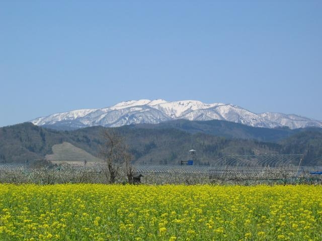 葉山の写真1