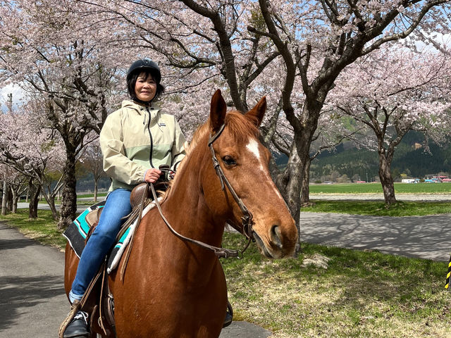 桜を見ながらの乗馬トレッキング_わくわくファーム前森高原
