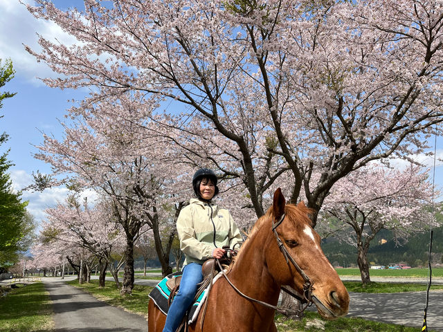 桜をみながらの乗馬トレッキング_わくわくファーム前森高原