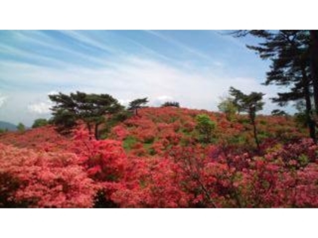 高柴山