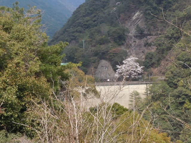 二津野ダム湖