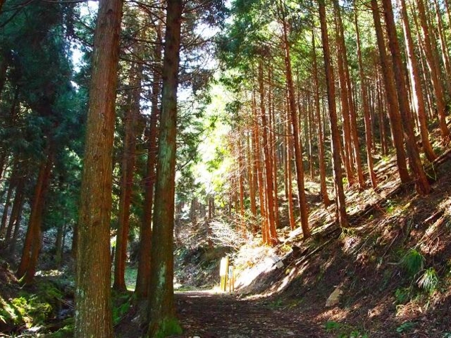 女亀山の写真1