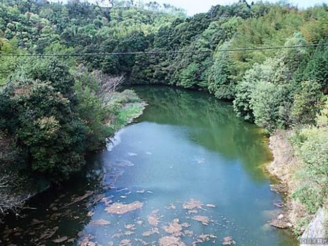 長柄ダム湖又は長柄湖の写真1