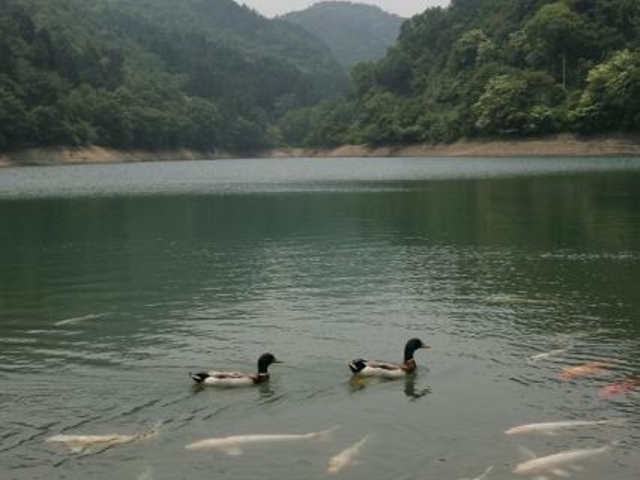 大谷池